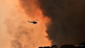 Diện tích cháy rừng Australia lớn gấp đôi nước Bỉ 